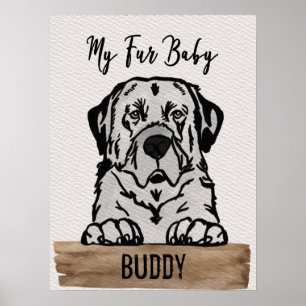 Póster Mi cuarto bebé Abruzzese mastiff Mamá Poster