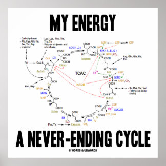 Póster Mi energía es un ciclo interminable (ciclo Krebs)