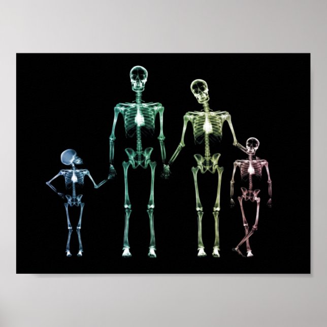 Póster Mi familia de rayos X (Frente)