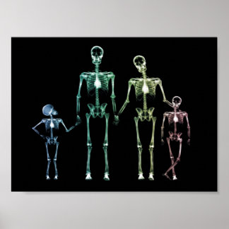 Póster Mi familia de rayos X