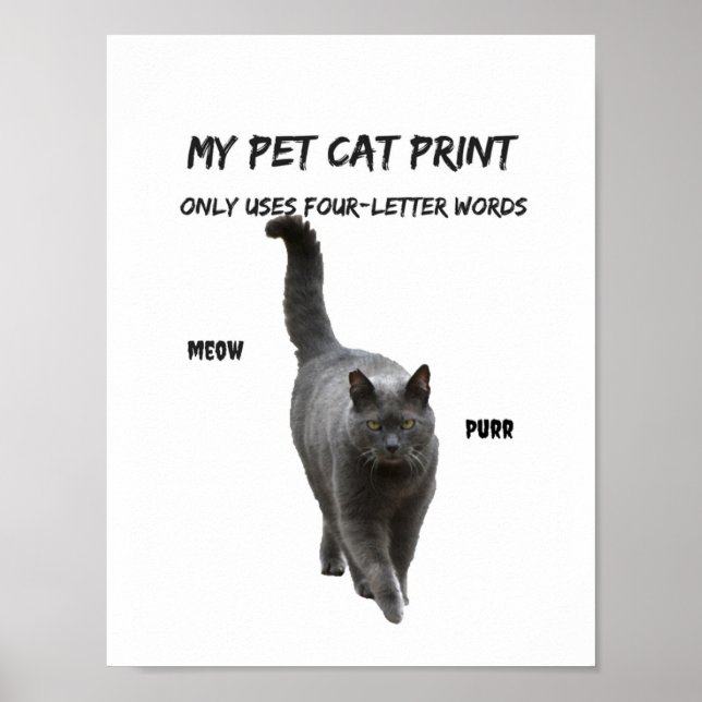 Póster Mi gato Mascota imprime divertida camiseta Cat 4 p (Frente)