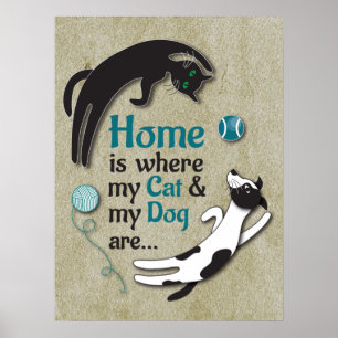 Póster Mi gato y mi perro están en casa