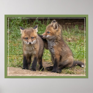 Póster Mi hermano/hermana mi amigo