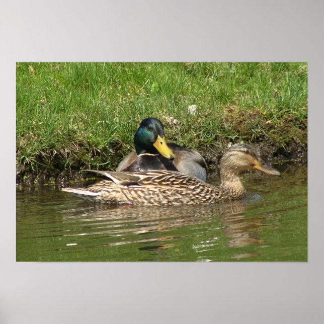 Póster Mi hermosa Chica (Frente)