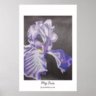 Póster Mi Iris