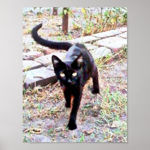 Póster Mi nombre es Kitty