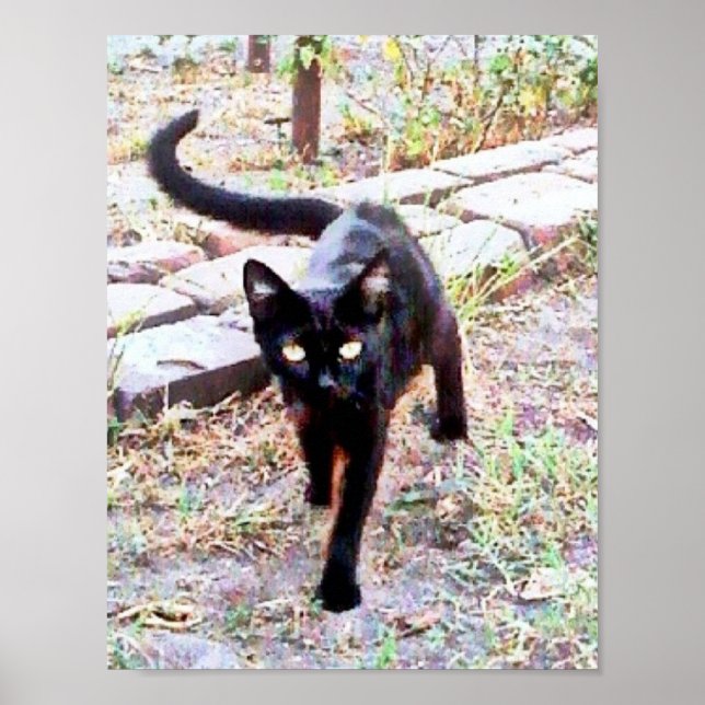 Póster Mi nombre es Kitty (Frente)
