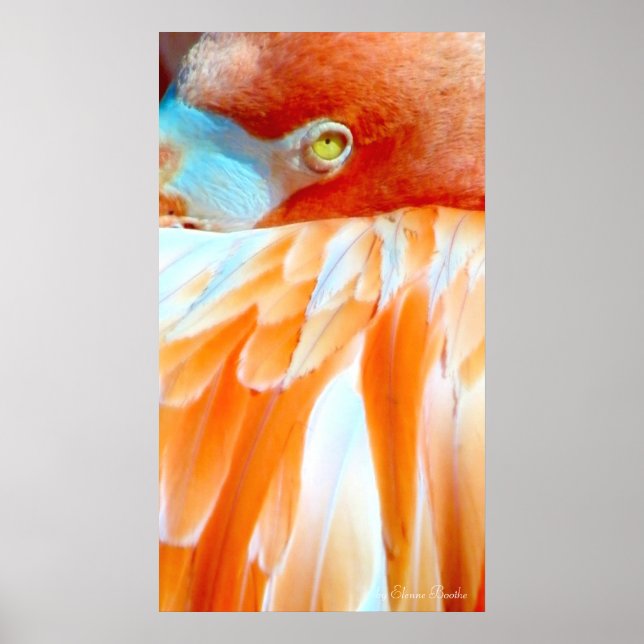 Póster Mi ojo en usted_Poster (Frente)