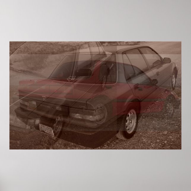 Póster mi paseo (Frente)