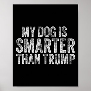 Póster Mi perro es más inteligente que Trump divertido an