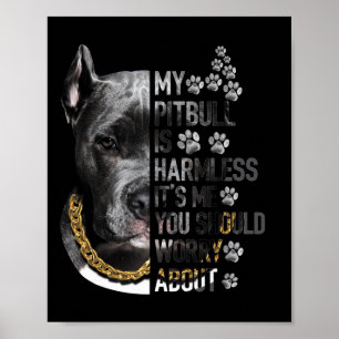 Póster Mi Pitbull es inofensivo. Soy yo, deberías preocup