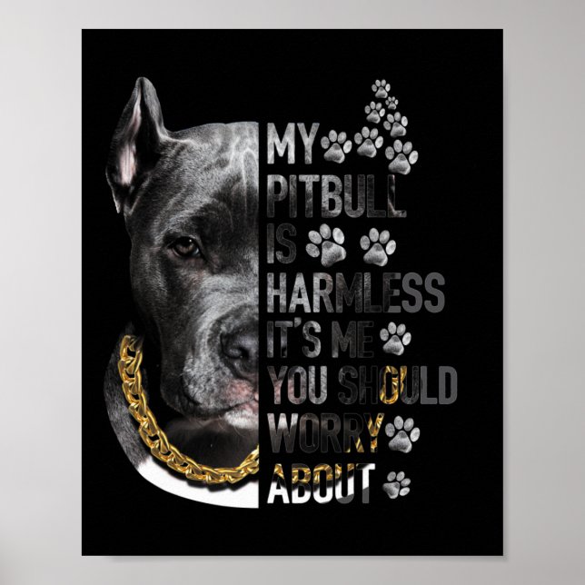 Póster Mi Pitbull es inofensivo. Soy yo, deberías preocup (Frente)