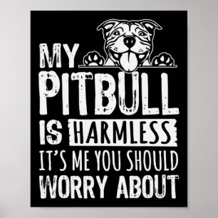 Póster Mi Pitbull No Es Nocivo, Es Yo Que Deberías Preocu
