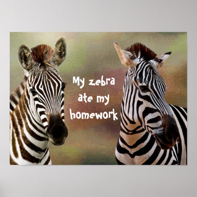 Póster Mi Poster de clase de Zebra Ate My Homework (Frente)