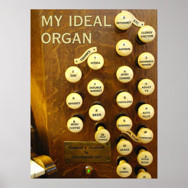 Póster Mi poster de órganos ideal (Frente)