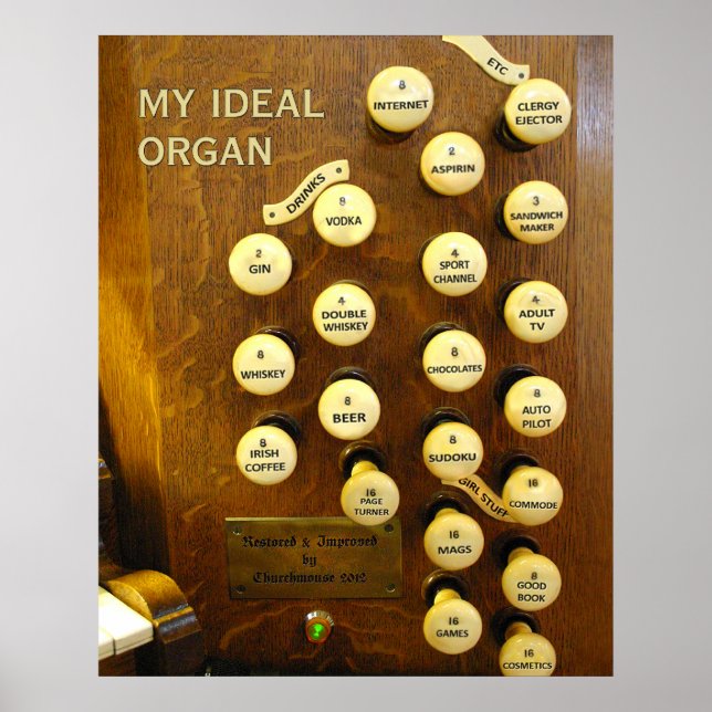Póster Mi poster de órganos ideal - tamaño mediano (Frente)