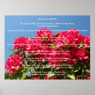 Póster Mi princesa, mi esposa