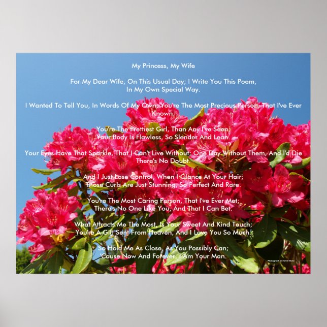 Póster Mi princesa, mi esposa (Frente)