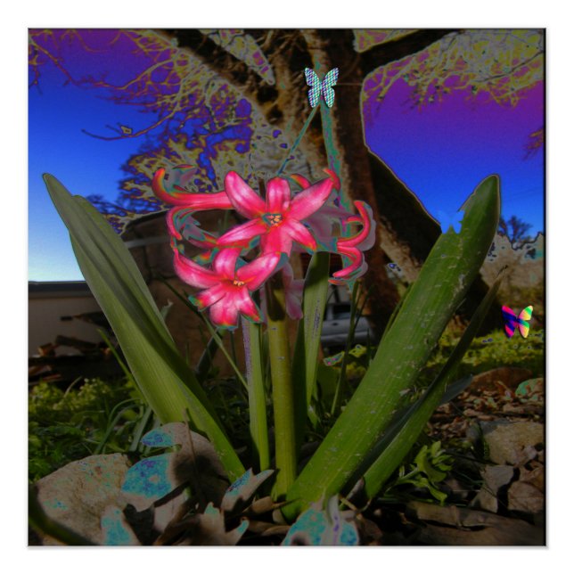 Póster Mi Psicodelic Yard... (Anverso)