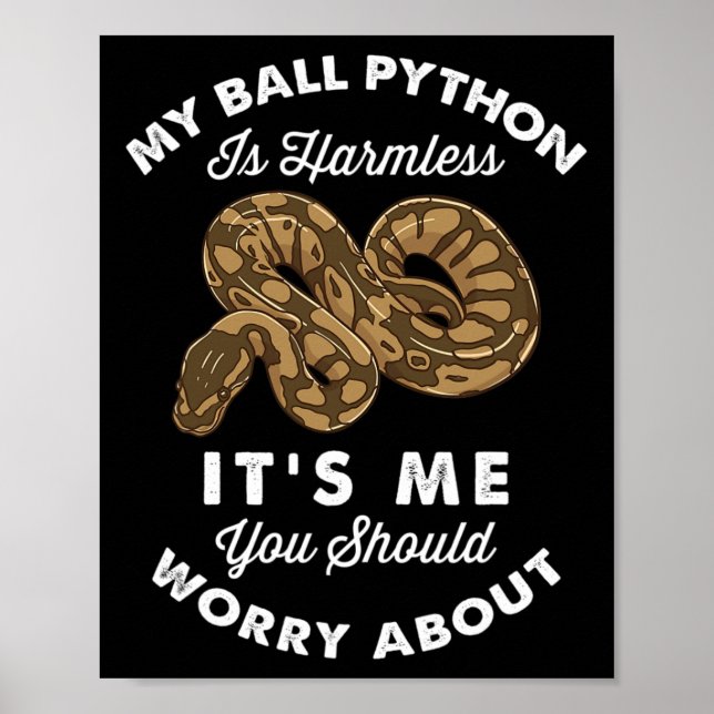 Póster Mi Python de bolas es inofensivo. Es mi trabajo. (Frente)