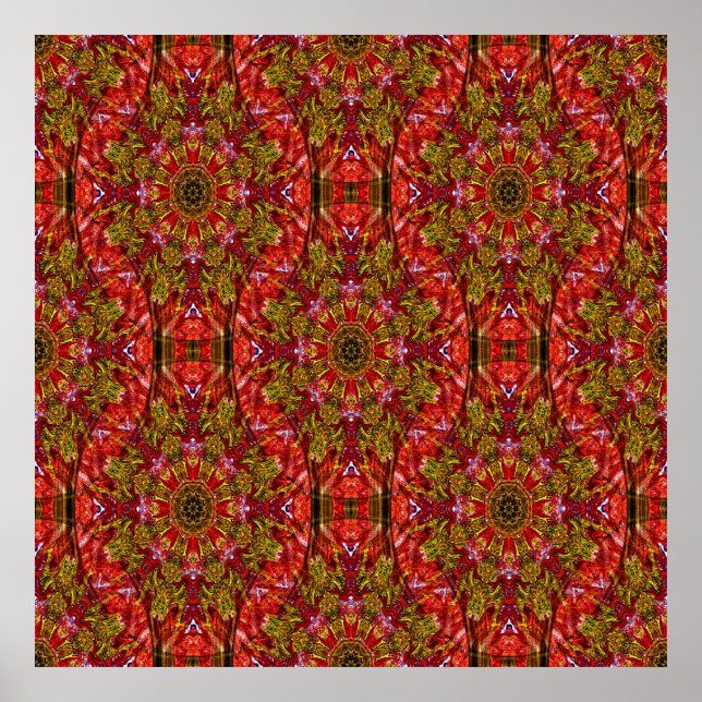 Póster Mi restaurante chino... (Frente)