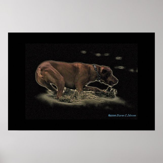 Póster Mi retórica (Frente)