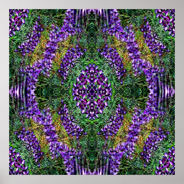 Póster Mi rueda de medicina... (Frente)