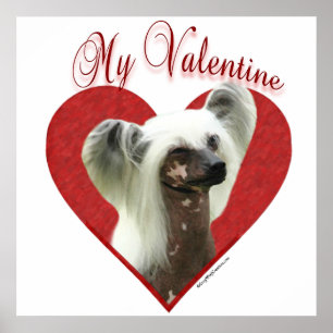 Póster Mi San Valentín de cresta chino