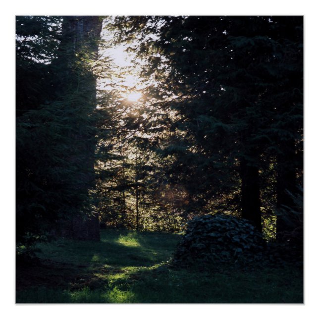 Póster Mi santuario en Klamath, California...... (Anverso)