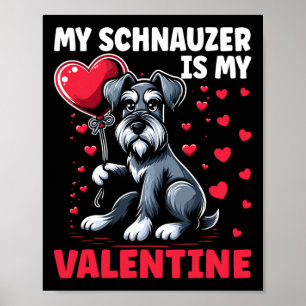 Póster Mi Schnauzer es mi San Valentín Día de San Valentí