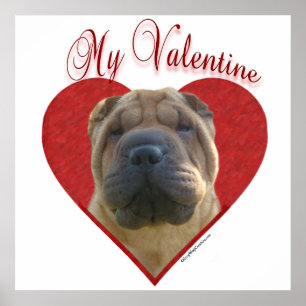Póster Mi Shar-Pei Valentine chino