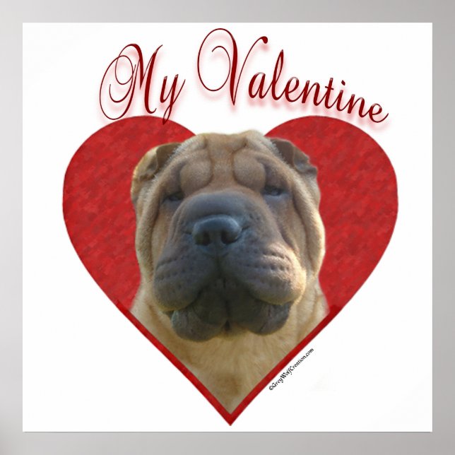 Póster Mi Shar-Pei Valentine chino (Frente)