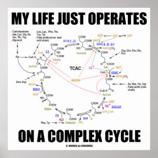 Póster Mi Vida Sólo Funciona En Un Ciclo Complejo (Krebs)