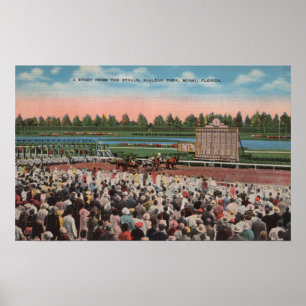 Póster Miami, FL - View of Hialeah Park with Horse