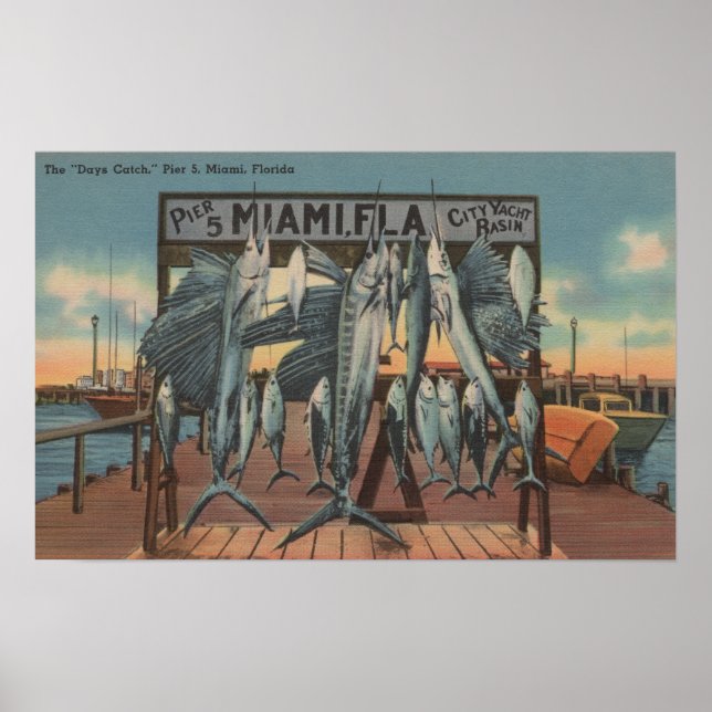 Póster Miami, Florida - View of Pier 5 with Caught Fish (Frente)