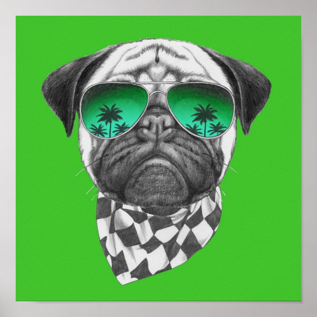 Póster Miami Pug (Frente)