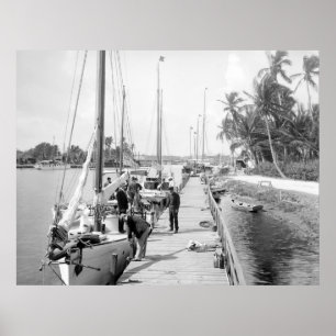 Póster Miami Sailboats, 1905