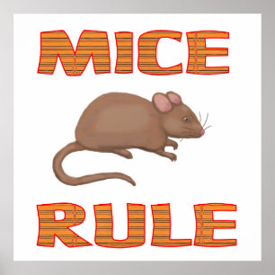PÓSTER MICE RULE POSTER