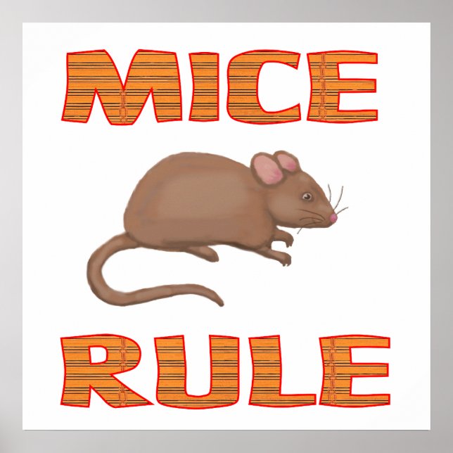 PÓSTER MICE RULE POSTER (Frente)
