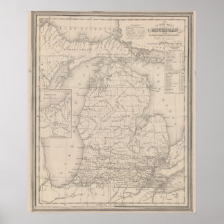 Póster Michigan 9