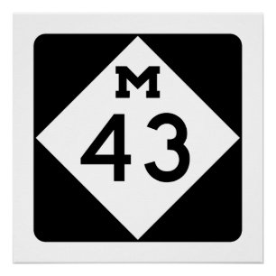 Póster Michigan M-43