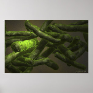 Póster Micobacterio