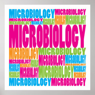 Póster Microbiología colorida