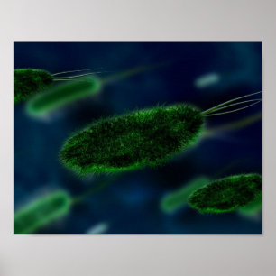 Póster Microbios bacterianos