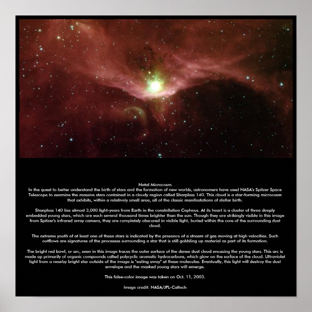 Póster Microcosmo natal (Frente)