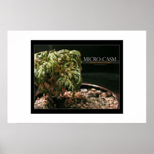 Póster Microcosmos