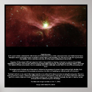Póster Microcosmos natal
