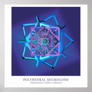 Póster Microcosmos Poliédrico