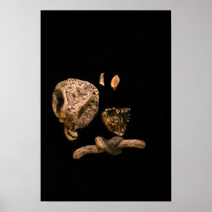 Póster Micromanetías de microescultura en miniatura gráfi