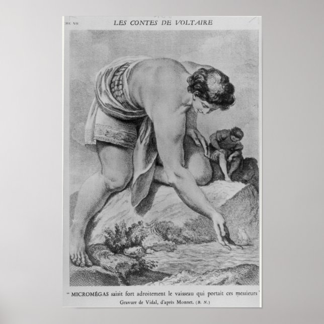 Póster Micromegas recoge hábilmente la nave (Frente)